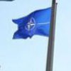 НАТО-Украина: Румыния отказалась от прошлых угроз 
