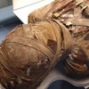 Раскрыт секрет египетских мумий - ученые 