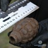 В Донецкой области в школе нашли гранату