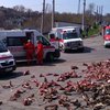 Трасса завалена кусками мяса: в Лисичанске произошло жуткое ДТП (фото)