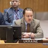 Удары по Сирии: Украина требует наказать Россию