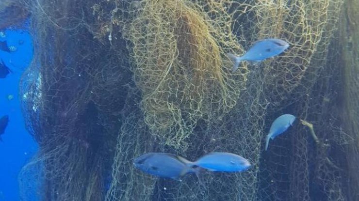 В Карибском море рыбаки наткнулись на гигантские сети