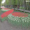 Кропивницький дендропарк порадував містян розмаїттям весняних квітів