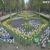 У Кропивницькому дендропарку розквітли мільйони тюльпанів (відео)
