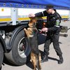 ЕС купит таможенникам Беларуси собак