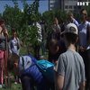 К юбилею стихотворения Тараса Шевченко жители Киева посадили вишневый сад