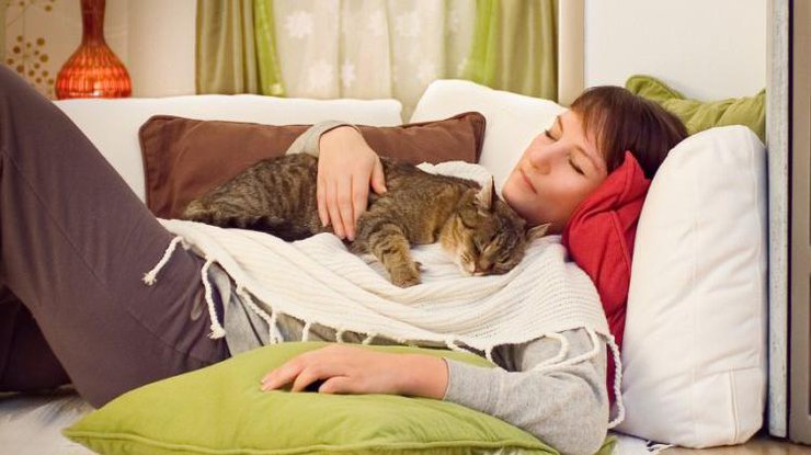 Кошки - домашние врачи: какие кошки как лечат | Нос, хвост, лапы | Дзен