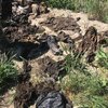 Под Днепром нашли десятки мешков с вещами погибших бойцов (фото)