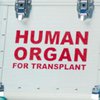 Верховная Рада разрешила трансплантацию органов 