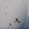 Смертельное падение парашютистов сняли на видео