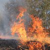 В Херсонской области произошел масштабный пожар