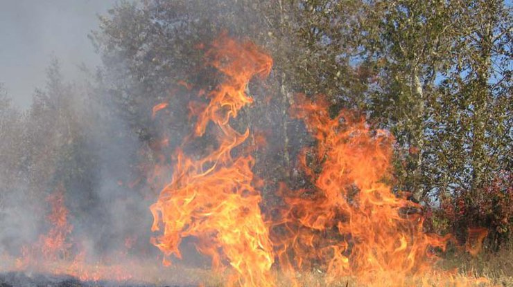В Херсонской области произошел масштабный пожар