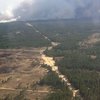 Пожар в Херсонской области охватил 100 гектаров леса