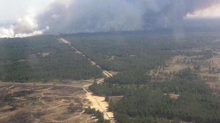 Лес горит в Раденском лесничестве. Фото ГСЧС