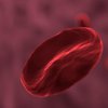 Самая смертоносная группа крови человека: ответ ученых 