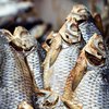 В Киеве продают зараженную ботулизмом рыбу