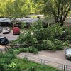 На Москву обрушился мощнейший ураган (фото, видео)