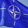 В НАТО призвали Россию прекратить вмешательство в Украину 