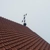 Мусульмане Германии протестуют против крестов на крышах зданий
