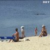 Пляжний сезон: чи готові київські пляжі приймати відпочивальників?