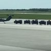 Саммит G-7: неподъемные чемоданы участников пришлось вывозить вертолетами (эксклюзив)