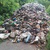 Подарок из Львова: в Черниговской области фура сбросила мусор 