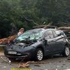 Под Киевом дерево раздавило автомобиль, есть пострадавший (фото, видео)