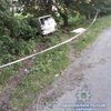 Смертельное ДТП под Киевом: авто с детьми врезалось в дерево (фото)