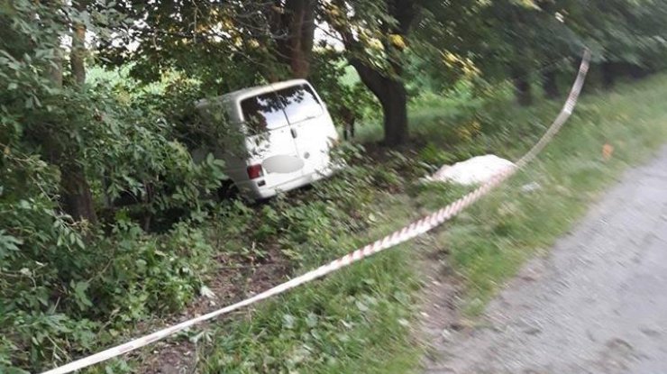 Volkswagen Transporter въехал в дерево. Фото: НПУ