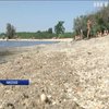 На пляжах Николаева уровень кишечной палочки превышен в тысячи раз - эксперты