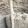 В Перу обнаружили 1000-летний "кокон" с мумией (фото)
