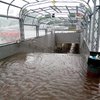 Чернигов затопило из-за дождей (видео)
