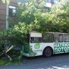 В Запорожье на троллейбус упало дерево, есть пострадавшие (фото)