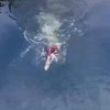 Бросился в воду: дрон заснял свое "спасение" на видео 