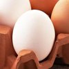 "Магический" способ варки яиц покорил пользователей соцсетей 