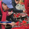 Волонтери звели піраміду з троянд (відео)