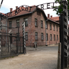 Туристы обворовали крематорий Освенцима