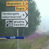 Швецію охопили лісові пожежі