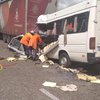 В ДТП под Житомиром погибли 10 пассажиров маршрутки (фото)