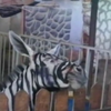 У зоопарку Єгипту ослів зробили зебрами