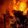 Пожары в Греции: более 50 человек погибли 
