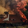 Пожары в Греции: количество жертв растет (видео)