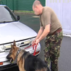 У Києві тренують собак для служби на Донбасі