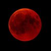 Лунное затмение 27 июля: невероятные "кровавые" фото 