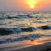 На Азовском море на берег выбросило труп 7-летнего парня
