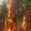 Норвегия охвачена лесными пожарами