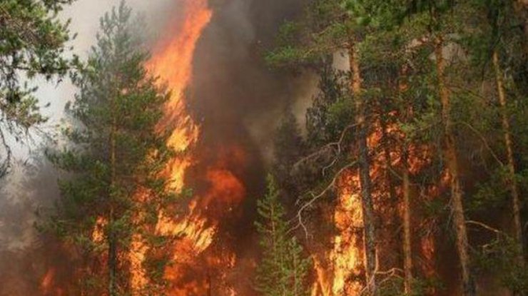 Пожар начался еще 1 июля недалеко от Осло. Илл. фото из открытых источников