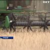 Фермеры Германии просят миллиард евро (видео)