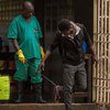 В мире зафиксировали новую вспышку Эболы