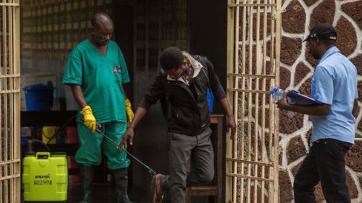 В Конго зафиксировали новую вспышку Эболы